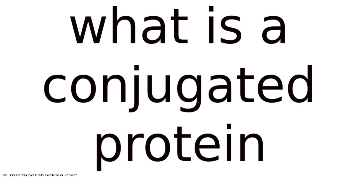 What Is A Conjugated Protein