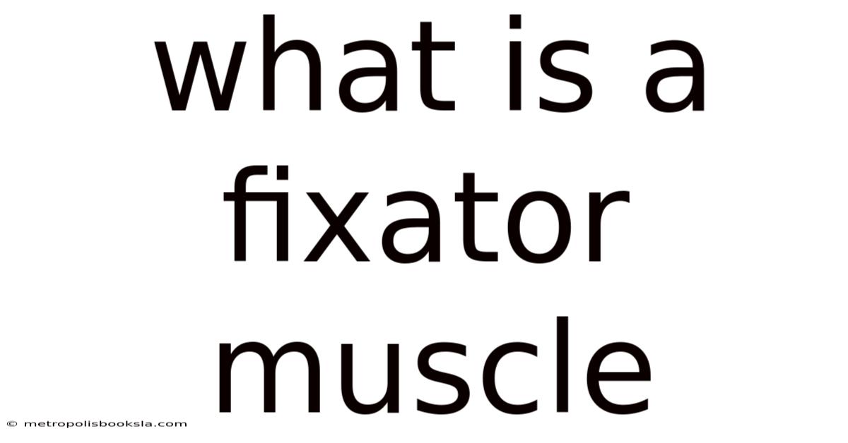 What Is A Fixator Muscle