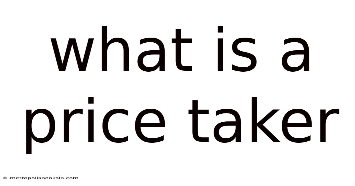 What Is A Price Taker