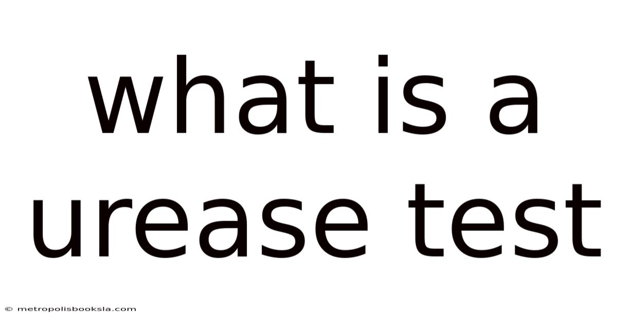 What Is A Urease Test