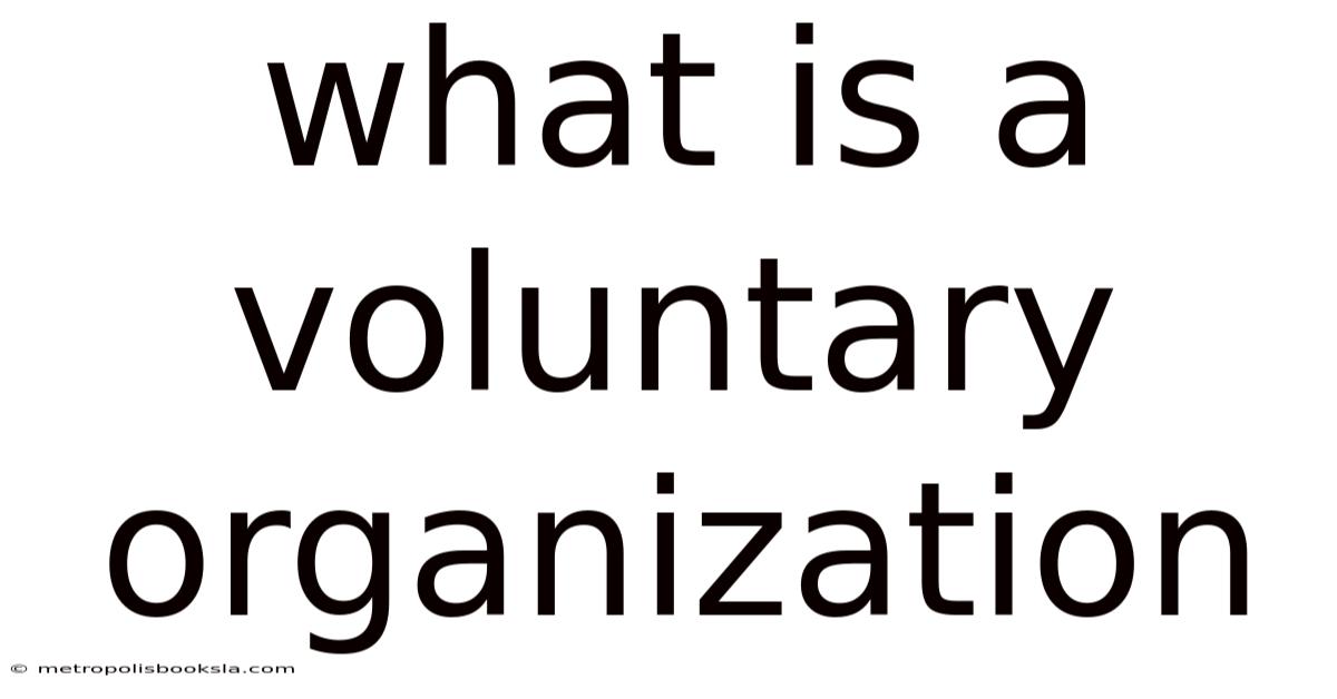 What Is A Voluntary Organization