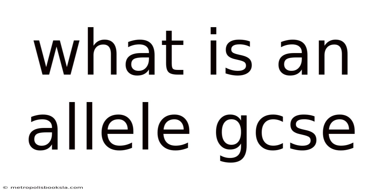 What Is An Allele Gcse