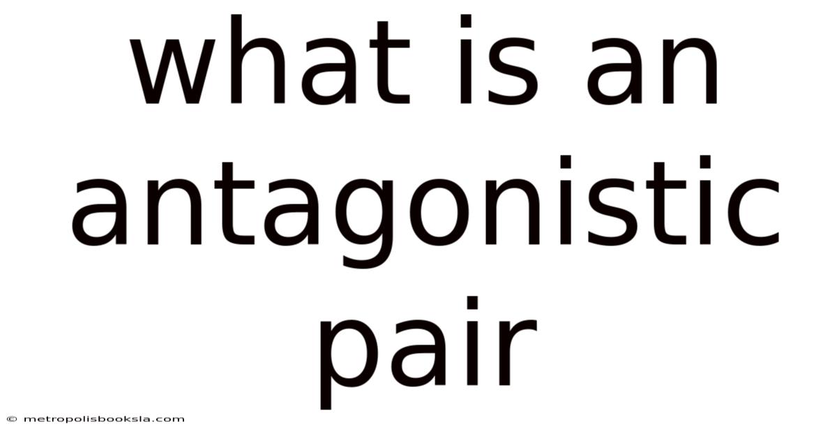 What Is An Antagonistic Pair