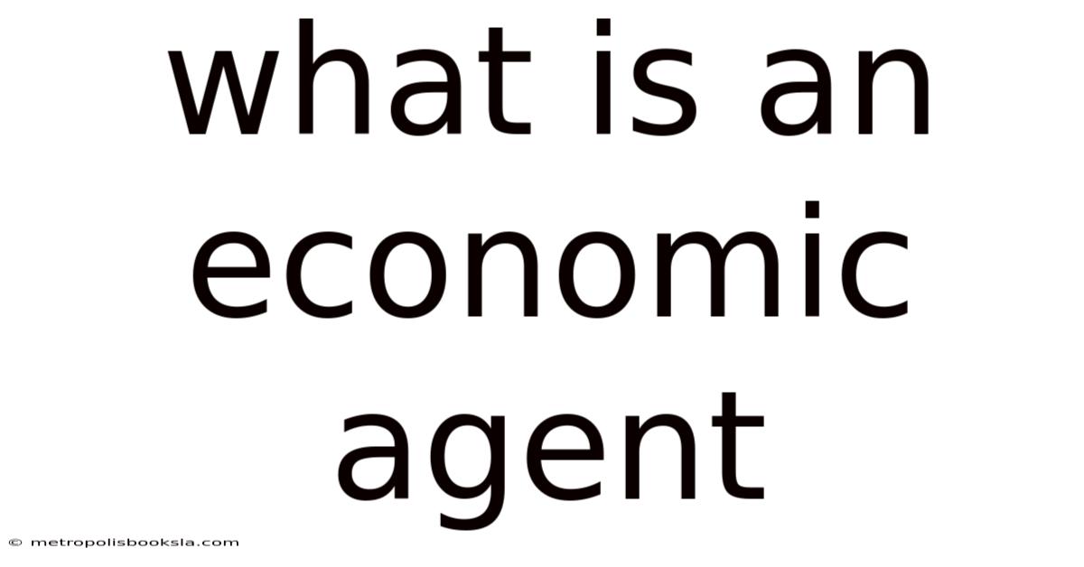 What Is An Economic Agent