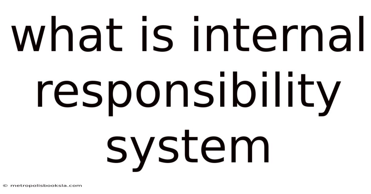 What Is Internal Responsibility System