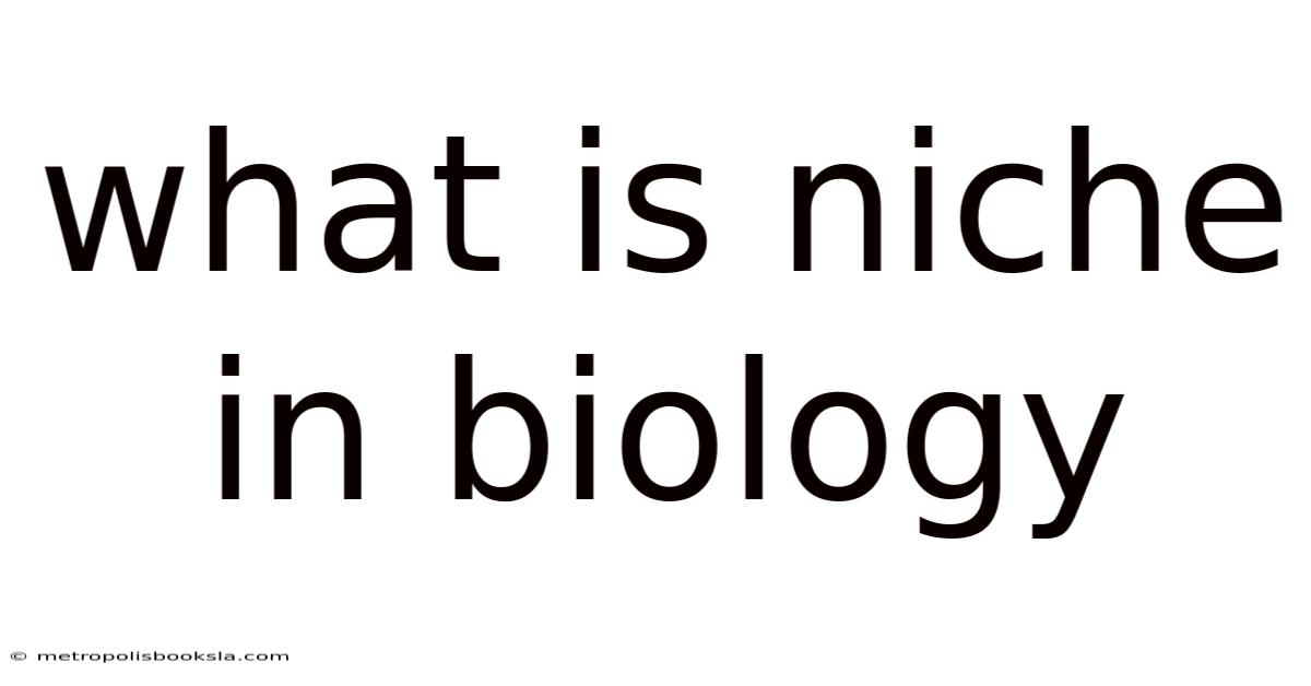 What Is Niche In Biology