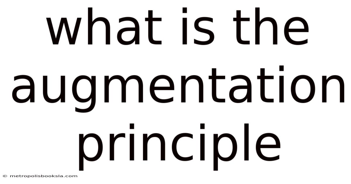 What Is The Augmentation Principle