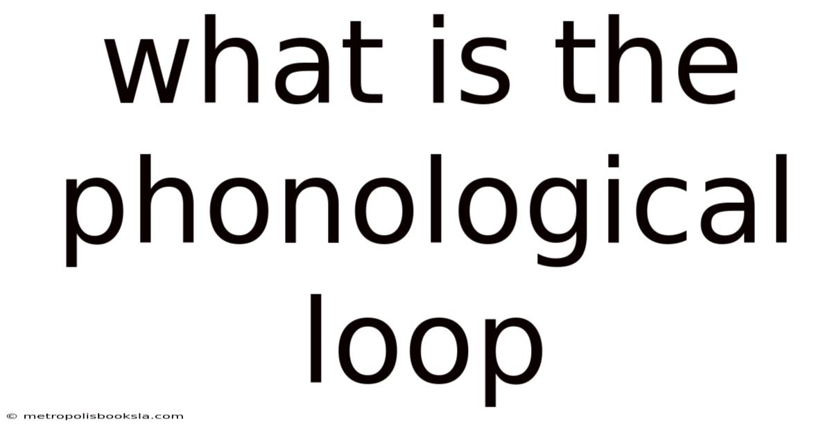 What Is The Phonological Loop