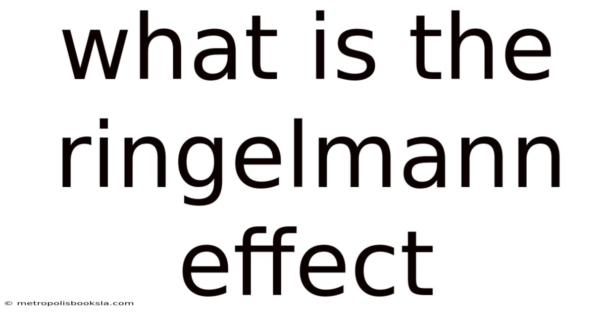 What Is The Ringelmann Effect