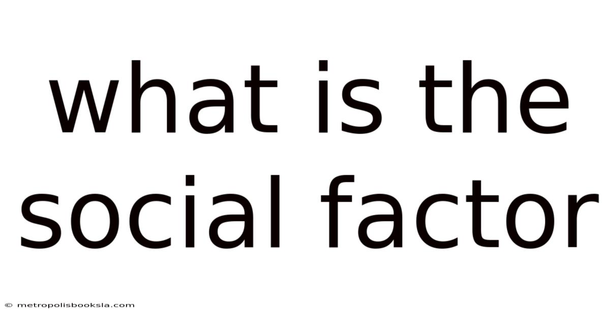 What Is The Social Factor