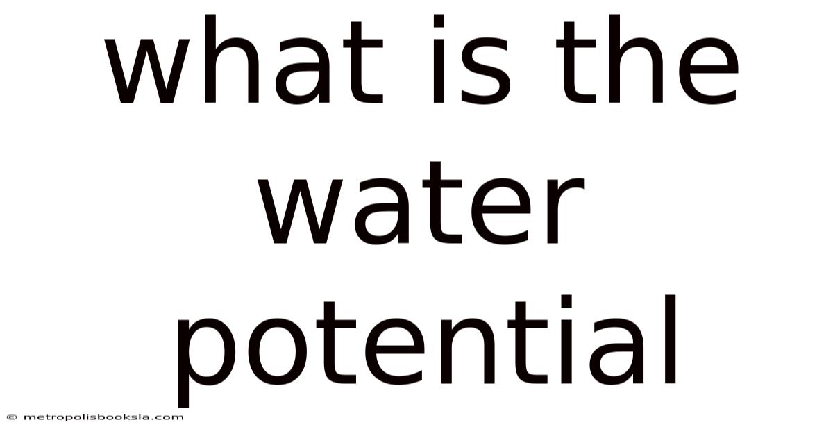 What Is The Water Potential
