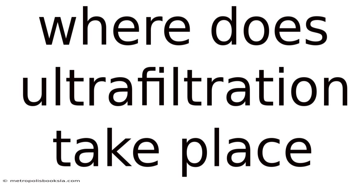 Where Does Ultrafiltration Take Place