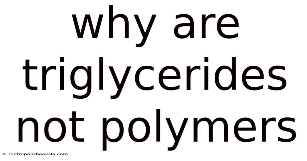 Why Are Triglycerides Not Polymers