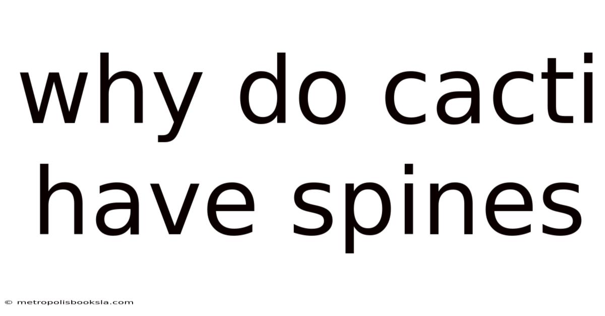 Why Do Cacti Have Spines