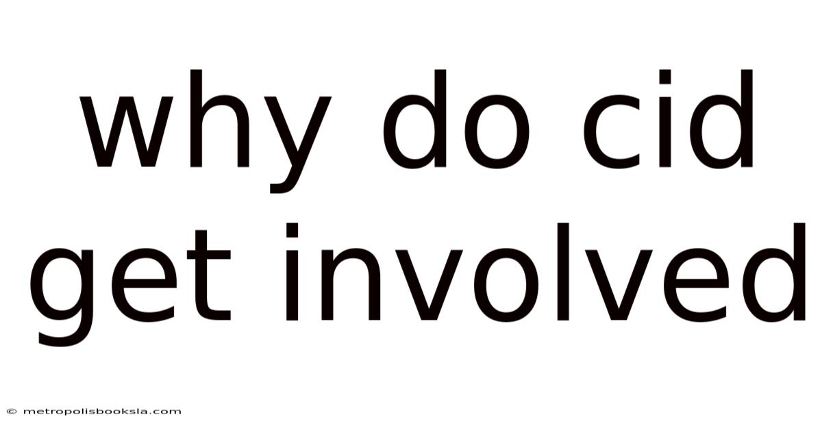 Why Do Cid Get Involved