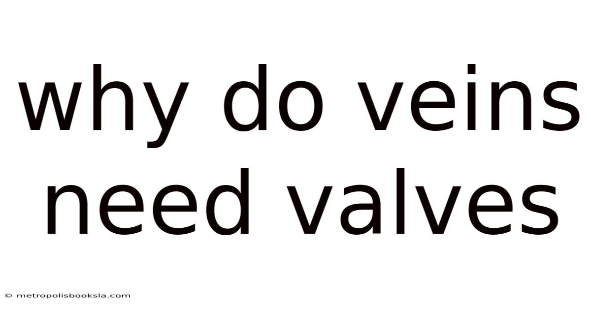 Why Do Veins Need Valves