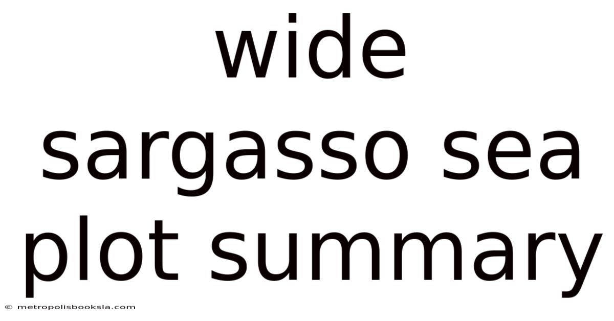 Wide Sargasso Sea Plot Summary
